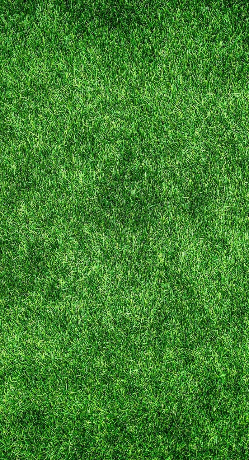 Eco-Friendly Product Brands