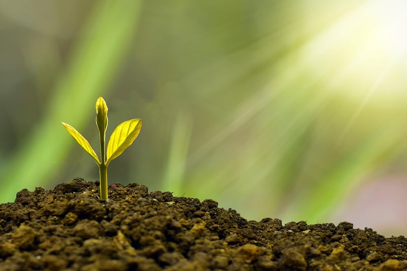 Sustainable Business Practices